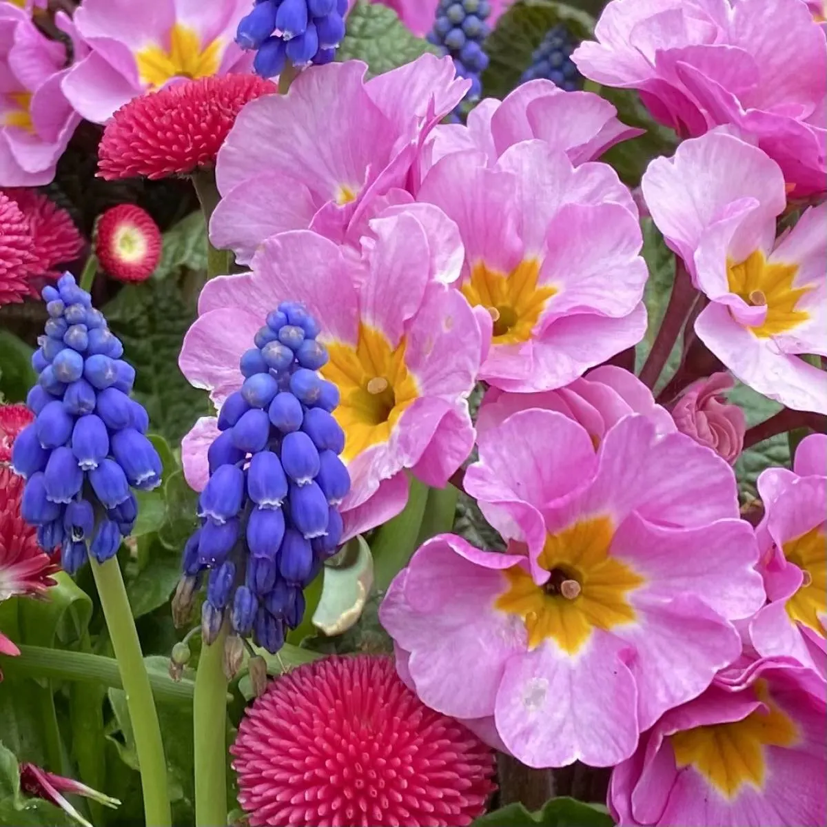 Gardening without back pain: practical tips